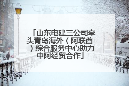 山东电建三公司牵头青岛海外（阿联酋）综合服务中心助力中阿经贸合作