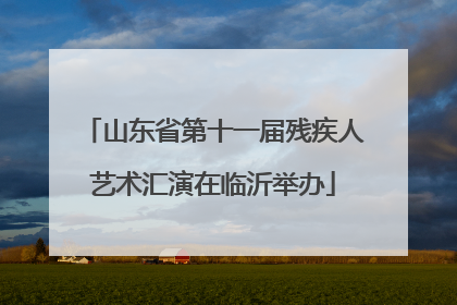 山东省第十一届残疾人艺术汇演在临沂举办