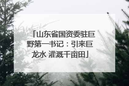 山东省国资委驻巨野第一书记：引来巨龙水 灌溉千亩田