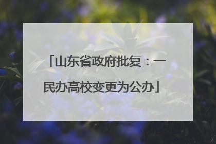 山东省政府批复：一民办高校变更为公办