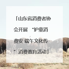 山东省消费者协会开展 “护童消费安 端午文化传”消费教育活动