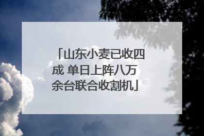 山东小麦已收四成 单日上阵八万余台联合收割机