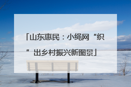 山东惠民：小绳网“织”出乡村振兴新图景