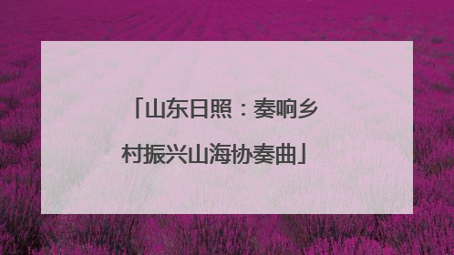 山东日照：奏响乡村振兴山海协奏曲