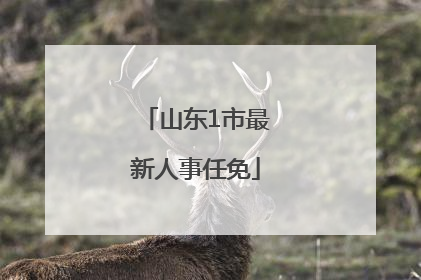 山东1市最新人事任免