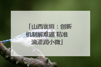 山西襄垣：创新机制解难题 精准滴灌润小微
