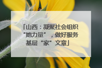 山西：凝聚社会组织“她力量”，做好服务基层“家”文章