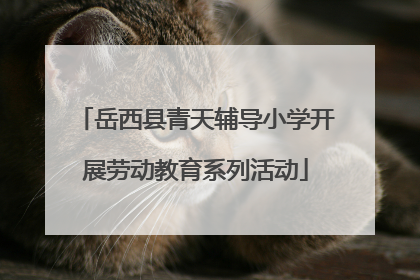 岳西县青天辅导小学开展劳动教育系列活动