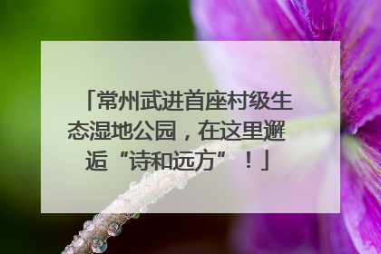 常州武进首座村级生态湿地公园，在这里邂逅“诗和远方”！