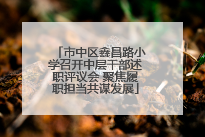 市中区鑫昌路小学召开中层干部述职评议会 聚焦履职担当共谋发展
