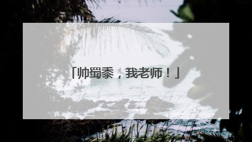 帅蜀黍，我老师！