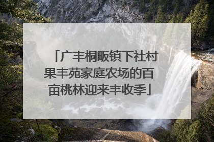 广丰桐畈镇下社村果丰苑家庭农场的百亩桃林迎来丰收季