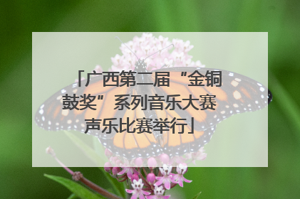 广西第二届“金铜鼓奖”系列音乐大赛声乐比赛举行