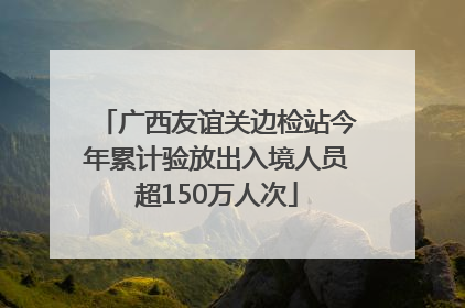 广西友谊关边检站今年累计验放出入境人员超150万人次
