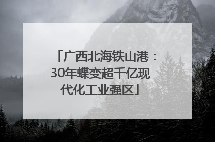 广西北海铁山港：30年蝶变超千亿现代化工业强区
