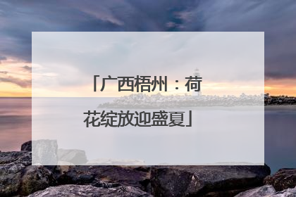 广西梧州：荷花绽放迎盛夏