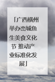 广西横州举办峦城鱼生美食文化节 推动产业标准化发展