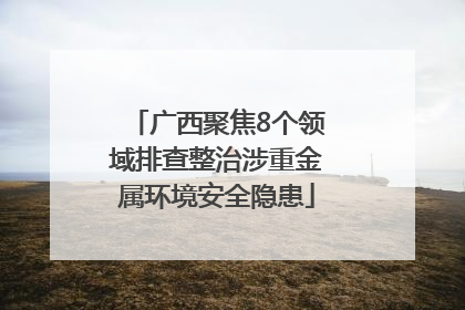 广西聚焦8个领域排查整治涉重金属环境安全隐患