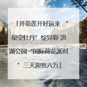 并蒂莲开好运来 “星空牡丹”绽异彩 洪湖公园“国际荷花派对”三天迎客六万