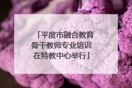 平度市融合教育骨干教师专业培训在特教中心举行