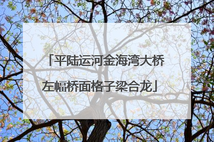平陆运河金海湾大桥左幅桥面格子梁合龙