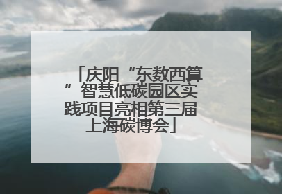 庆阳“东数西算”智慧低碳园区实践项目亮相第三届上海碳博会
