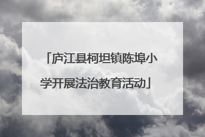庐江县柯坦镇陈埠小学开展法治教育活动