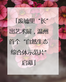 废墟里“长”出艺术展，温州首个“自然生态综合体示范片”启幕