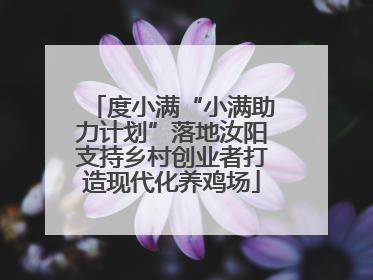 度小满“小满助力计划”落地汝阳支持乡村创业者打造现代化养鸡场