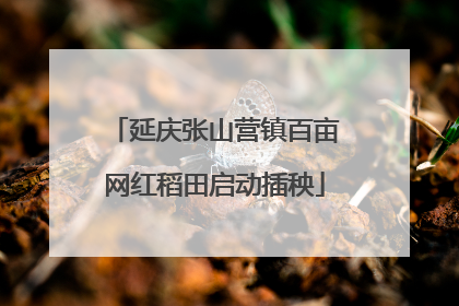 延庆张山营镇百亩网红稻田启动插秧