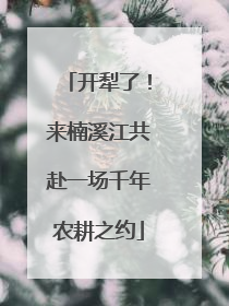 开犁了！来楠溪江共赴一场千年农耕之约