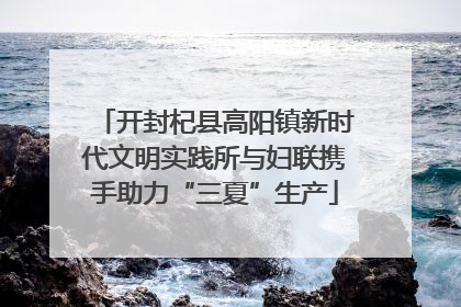 开封杞县高阳镇新时代文明实践所与妇联携手助力“三夏”生产