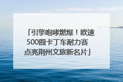 引擎咆哮燃爆！欧速500圈卡丁车耐力赛点亮荆州文旅新名片