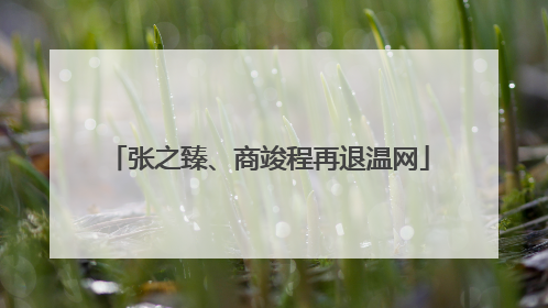 张之臻、商竣程再退温网
