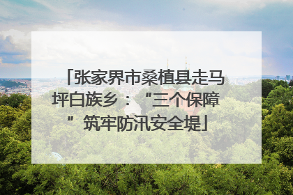 张家界市桑植县走马坪白族乡：“三个保障”筑牢防汛安全堤