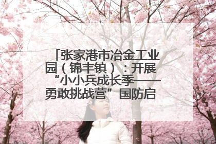 张家港市冶金工业园（锦丰镇）：开展“小小兵成长季——勇敢挑战营”国防启蒙教育活动