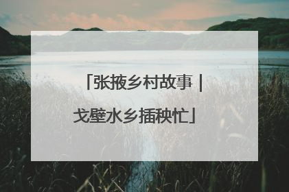 张掖乡村故事｜戈壁水乡插秧忙