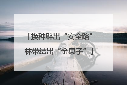 换种辟出“安全路” 林带结出“金果子”
