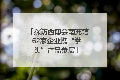 探访西博会南充馆 62家企业携“拳头”产品参展