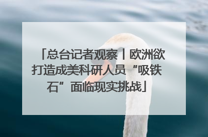 总台记者观察丨欧洲欲打造成美科研人员“吸铁石”面临现实挑战