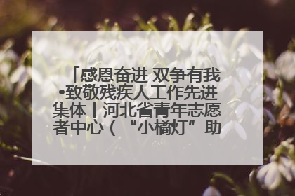 感恩奋进 双争有我•致敬残疾人工作先进集体丨河北省青年志愿者中心（“小橘灯”助残接力计划实施团队）：用温暖陪伴，守护特殊孩子成长