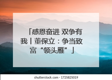 感恩奋进 双争有我丨董保立：争当致富“领头雁”