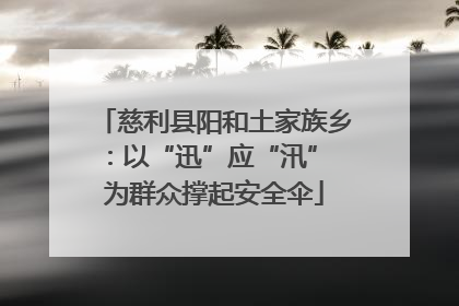 慈利县阳和土家族乡：以“迅”应“汛” 为群众撑起安全伞