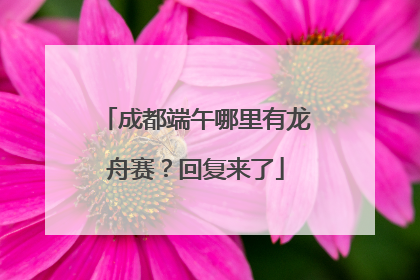 成都端午哪里有龙舟赛？回复来了