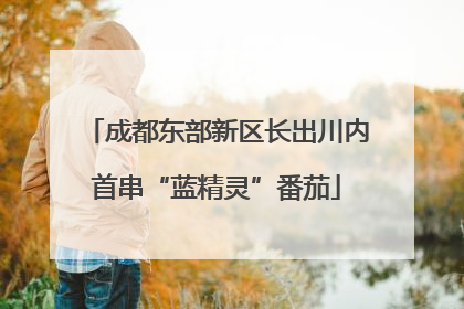 成都东部新区长出川内首串“蓝精灵”番茄