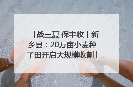 战三夏 保丰收丨新乡县：20万亩小麦种子田开启大规模收割