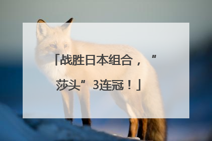 战胜日本组合，“莎头”3连冠！