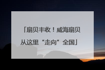 扇贝丰收！威海扇贝从这里“走向”全国