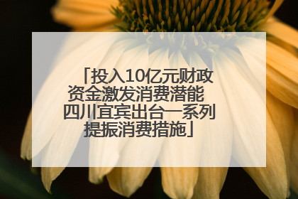 投入10亿元财政资金激发消费潜能 四川宜宾出台一系列提振消费措施