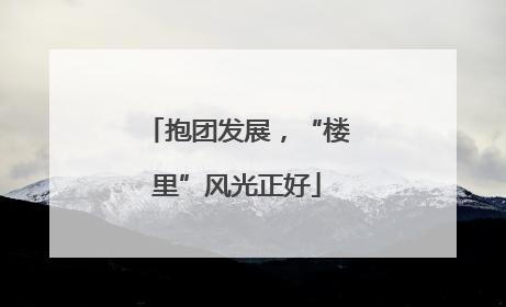 抱团发展，“楼里”风光正好
